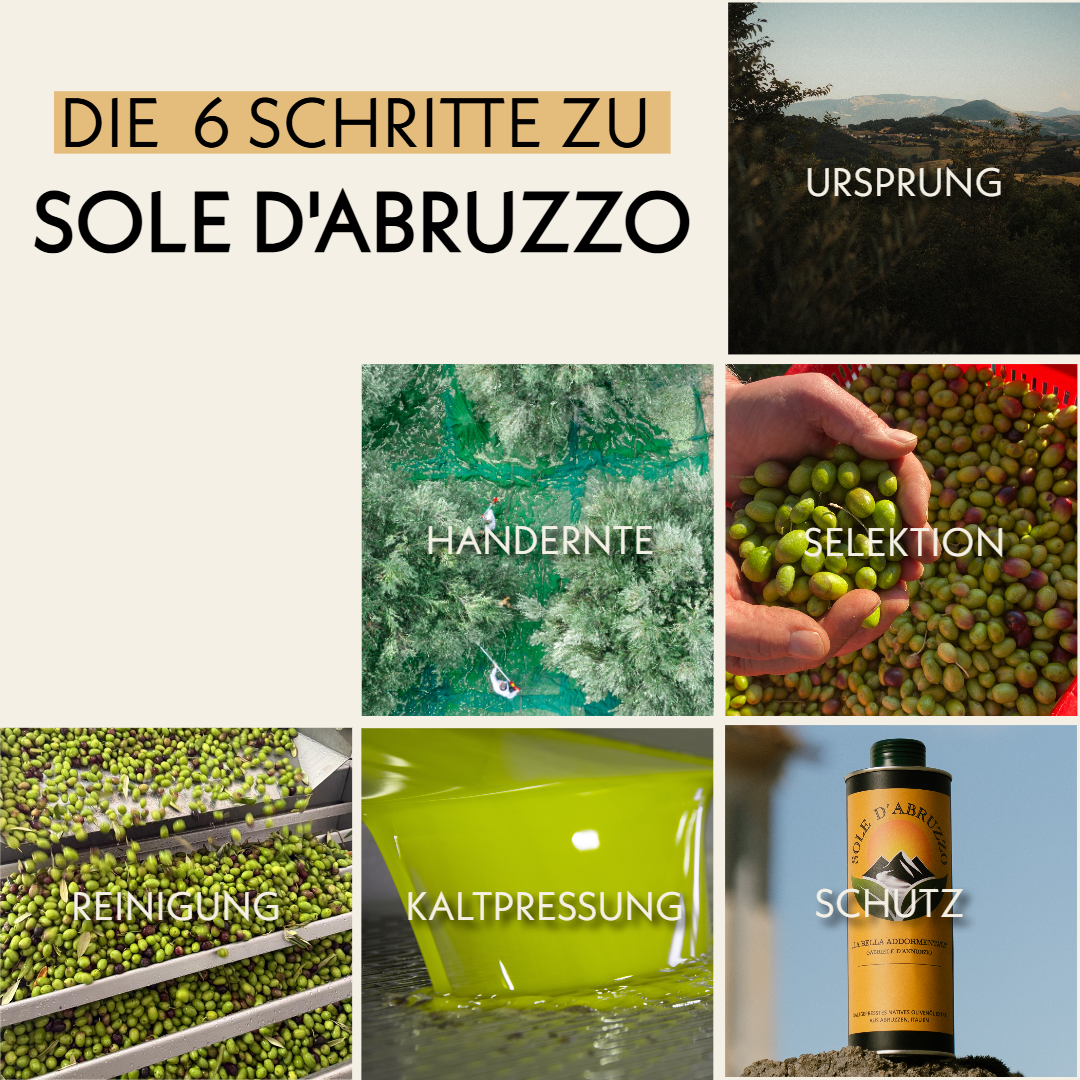 Extra Natives Premium Olivenöl aus den Abruzzen – 500 ml – kaltgepresst