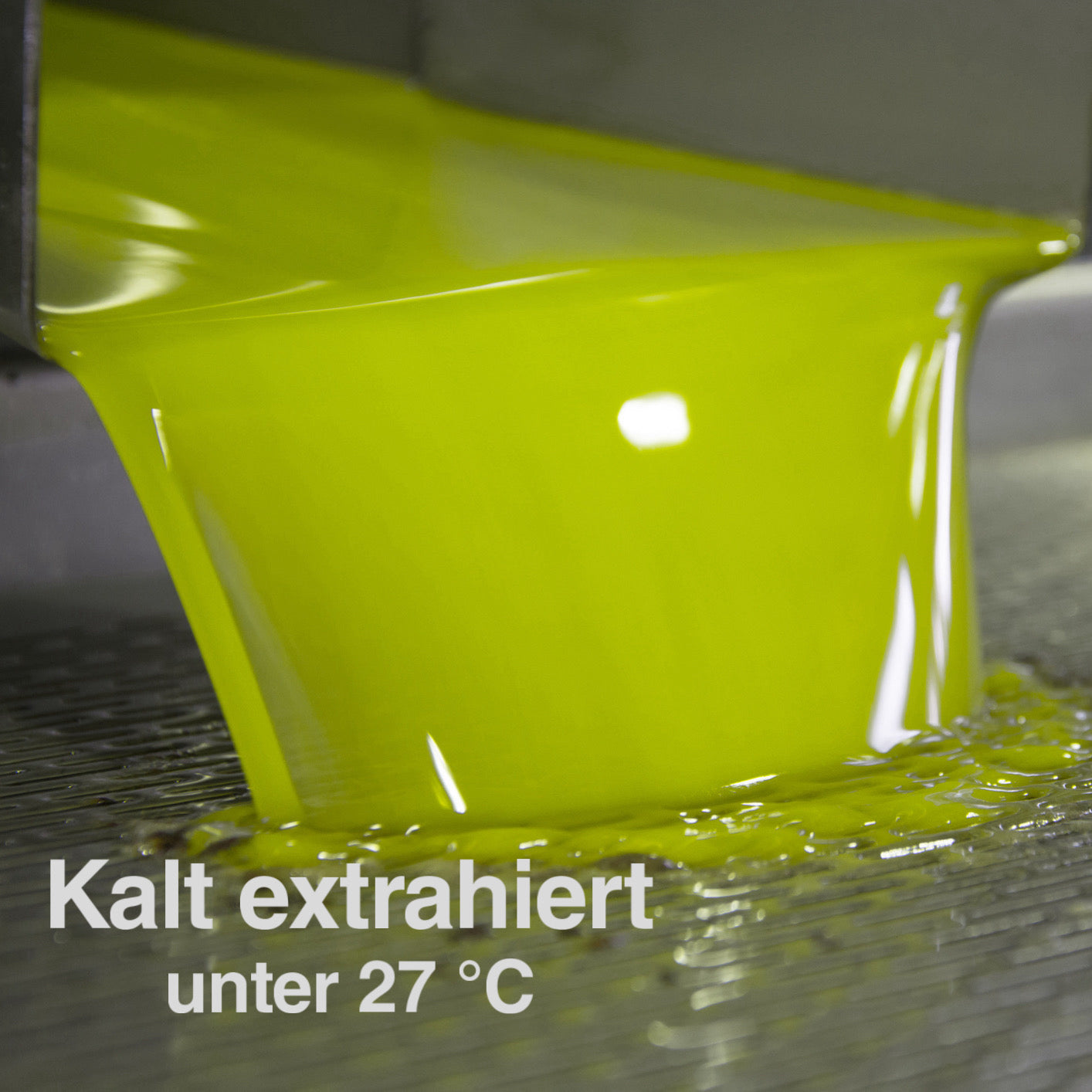 Extra Natives Olivenöl aus Italien – 250 ml – kaltgepresst