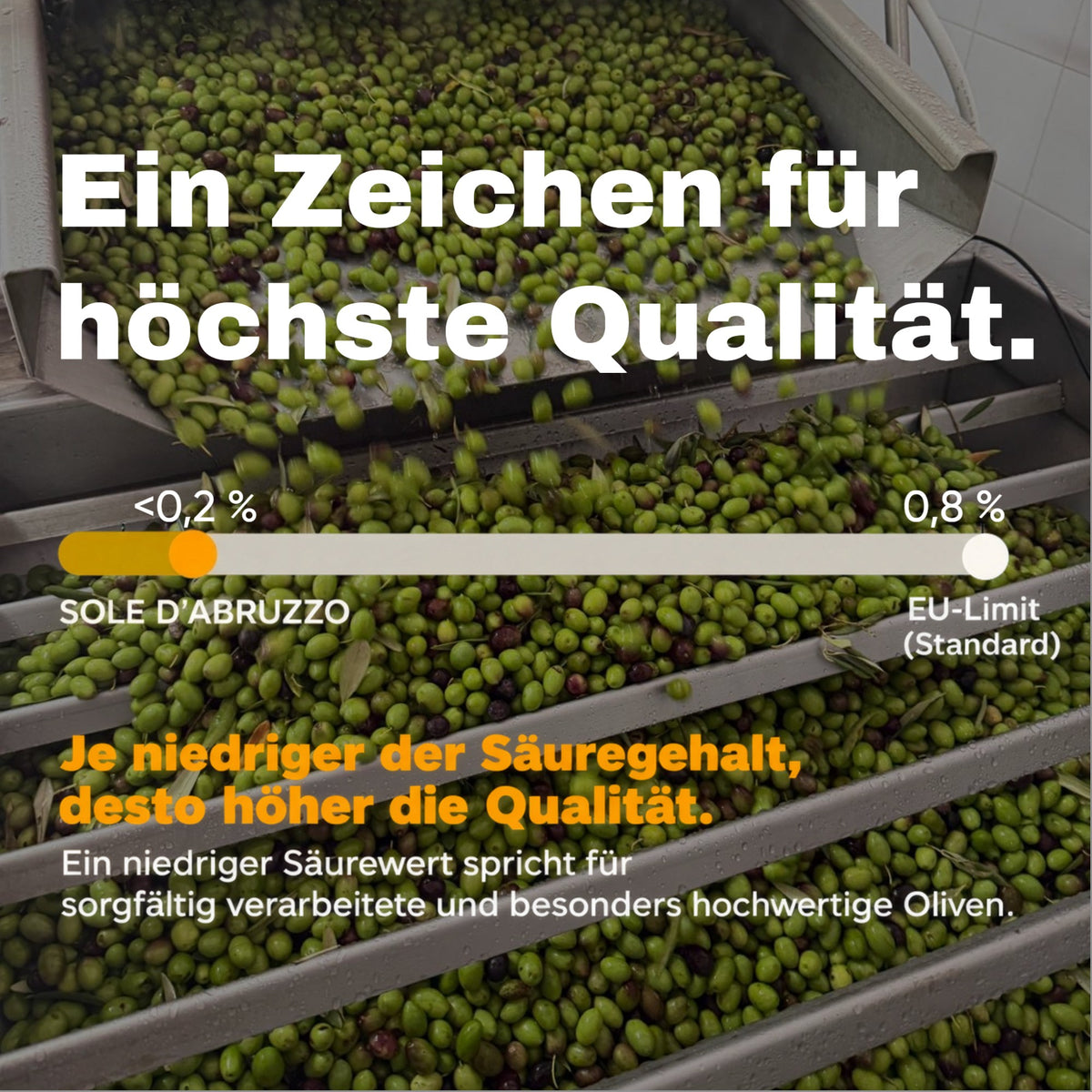 SOLE D’ABRUZZO – Premium Olivenöl aus Italien  · Neue Ernte 2026/27 · 500ml