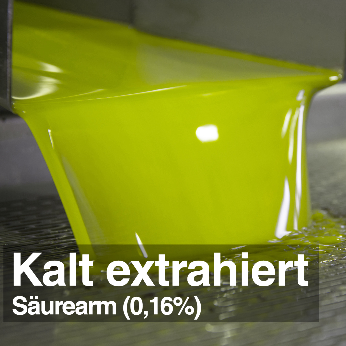 Extra Natives Premium Olivenöl aus den Abruzzen – 500 ml – kaltgepresst