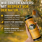 Extra Natives Olivenöl aus den Abruzzen – 1000 ml – kaltgepresst